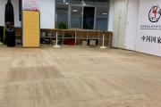 跆拳道夜战：天山飞鹰队绝杀河套犀牛队，速度优势明显观赏性拉满的简单介绍